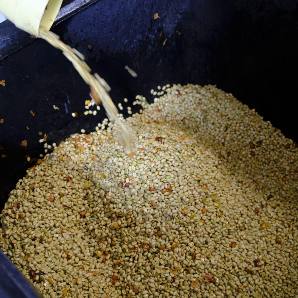 VARIEDAD COLOMBIA P00 by Wilton Benitez