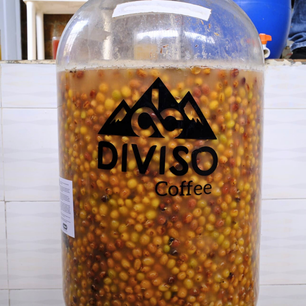 BOURBON AJI (CUP OF EXCELLENCE)  by Nestor Lasso