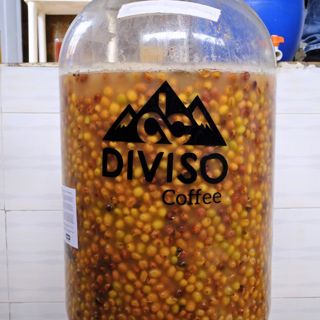 BOURBON AJI (CUP OF EXCELLENCE)  by Nestor Lasso