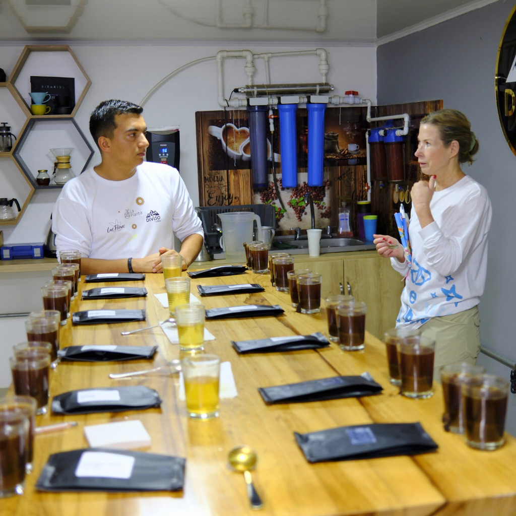 BOURBON AJI (CUP OF EXCELLENCE)  by Nestor Lasso