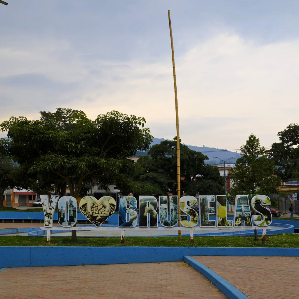 BOURBON AJI (CUP OF EXCELLENCE)  by Nestor Lasso