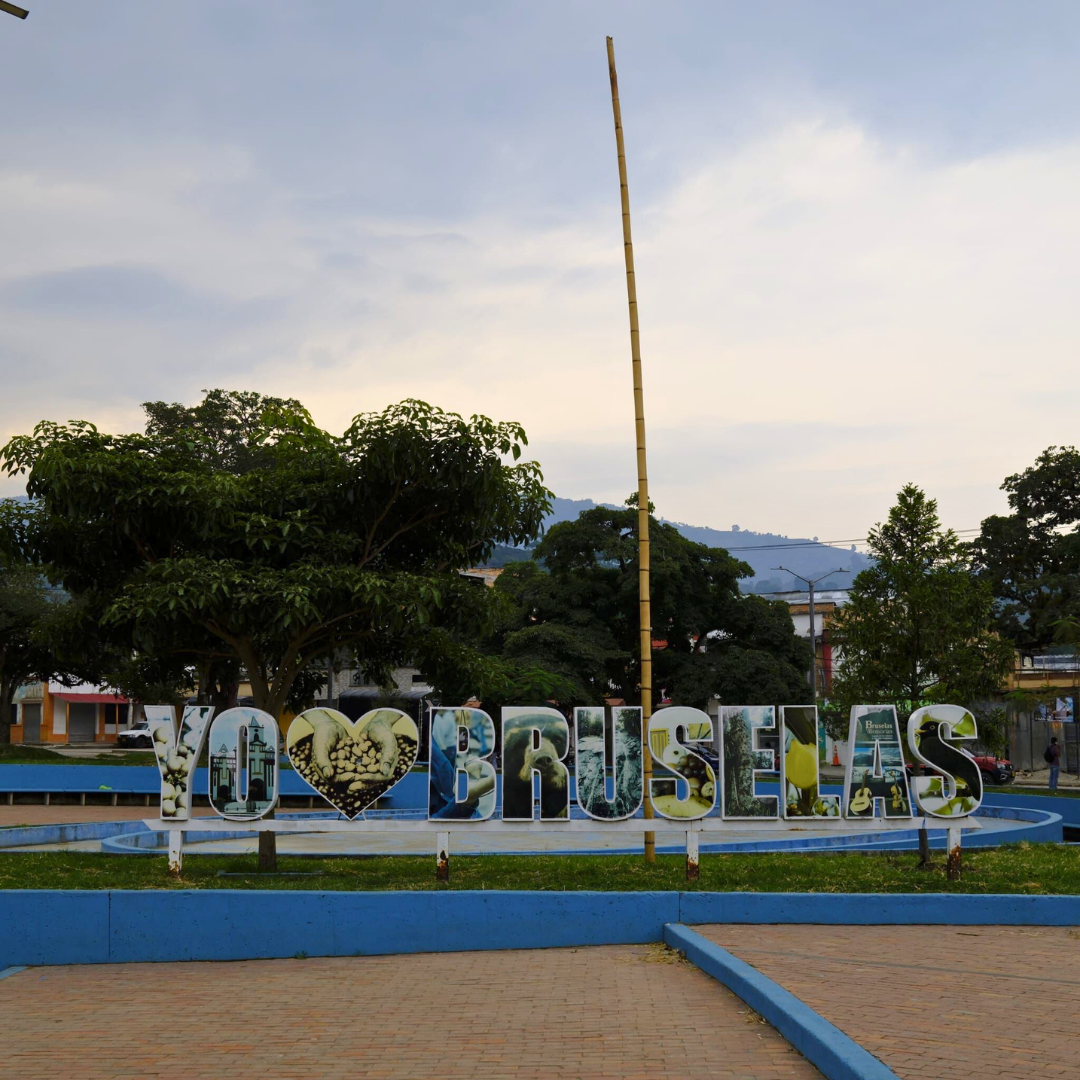 BOURBON AJI (CUP OF EXCELLENCE)  by Nestor Lasso