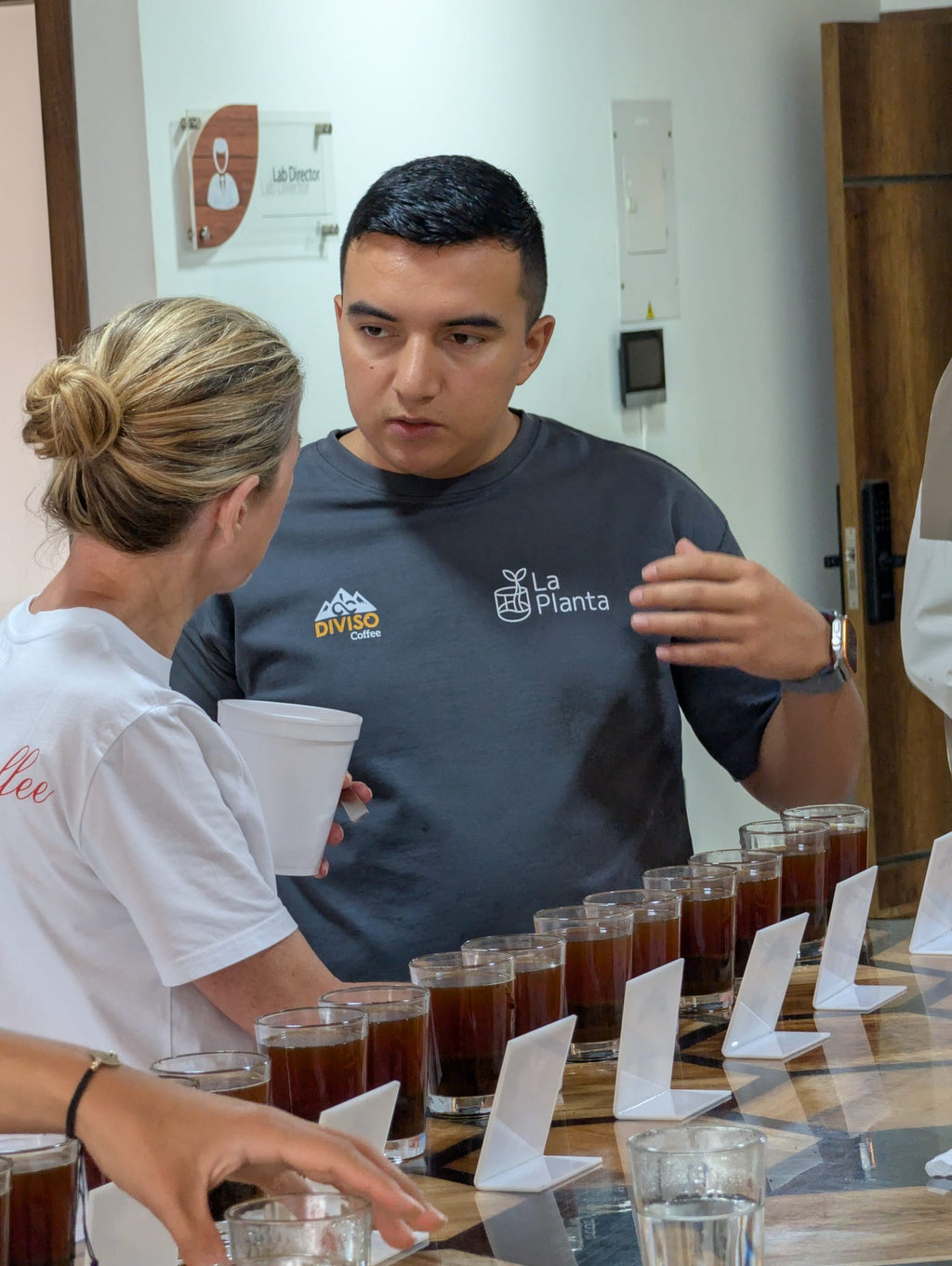 COLOMBIA - DECAF PINK BOURBON MICROLOT BY DIEGO & JHOAN VERGARA