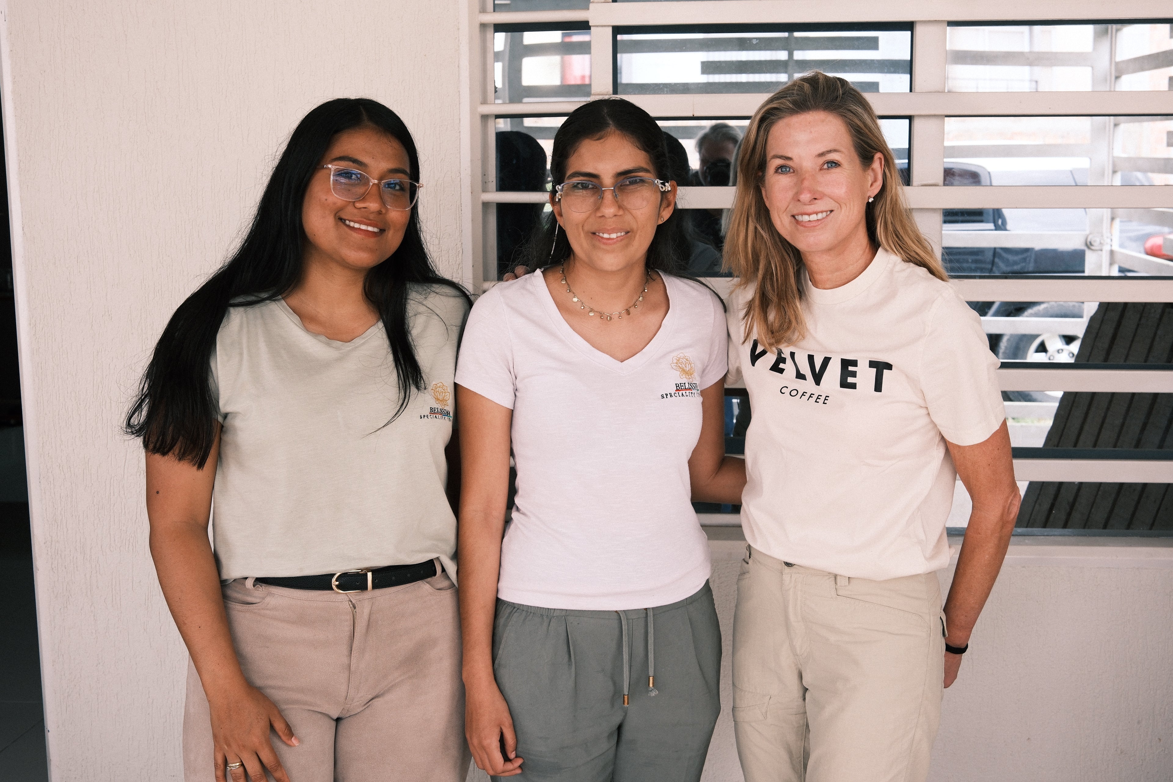 COLOMBIA - CATURRA, COLOMBIA, CASTILLO - COD315