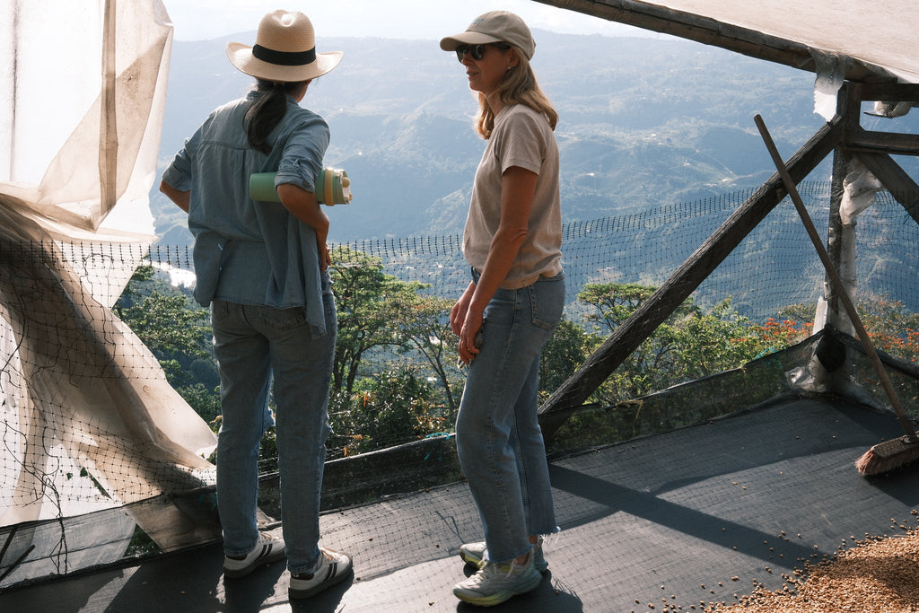 COLOMBIA - CATURRA, COLOMBIA, CASTILLO - COD315 BY ARLEY DELGADO AND YUDY GUACA