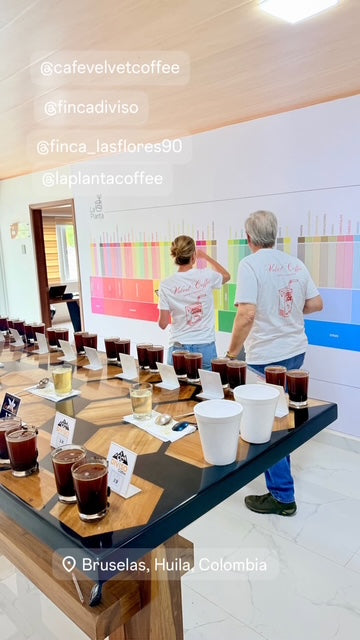 COLOMBIA - DECAF PINK BOURBON MICROLOT BY DIEGO & JHOAN VERGARA