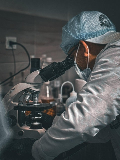 VARIEDAD BOURBON AMARILLO by Wilton Benitez