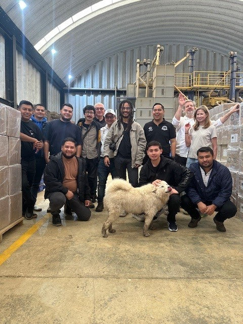 VARIEDAD BOURBON AMARILLO by Wilton Benitez