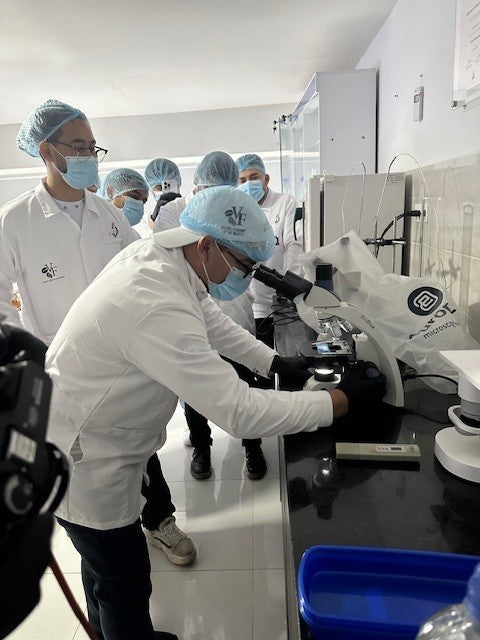 VARIEDAD BOURBON AMARILLO by Wilton Benitez